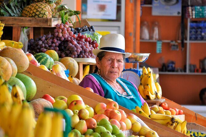Mexican Flavor Route - Tacos, Chocolate & Desserts in Mexico City - Who Will Enjoy This Tour?