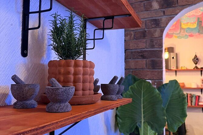 Mexican Mixology Workshop with Panoramic View in Coyoacán - Setting and Location: A Scenic Balcony in Coyoacán