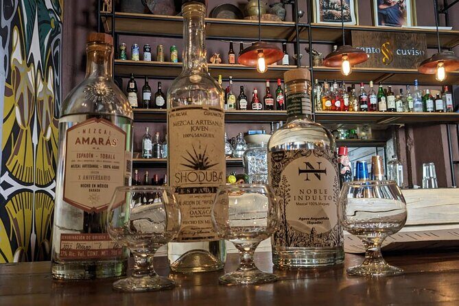 Mexican Spirits Tasting: Experience the Essence of Tradition - An In-Depth Look at the Mexican Spirits Tasting Experience