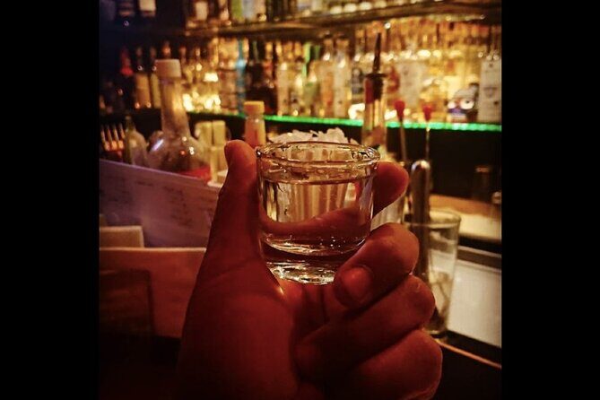 Mexican Spirits Tasting: Experience the Essence of Tradition - The Sum Up
