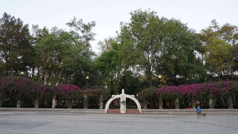 Mexico City: 19 City Highlights Bicycle Tour - An In-Depth Look at the Tour Experience