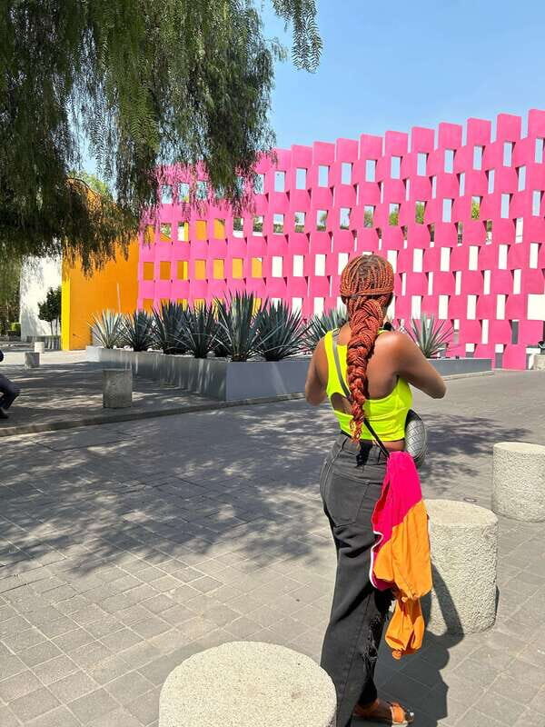 Mexico City: 1960s &1970s Mexican Architecture Walking Tour - Navigating the Details: Practical Tips