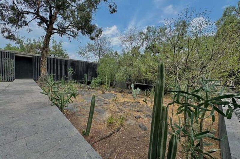 Mexico City: Anahuacalli Museum Entry Ticket and Guided Tour - Why This Tour Is Worth Considering