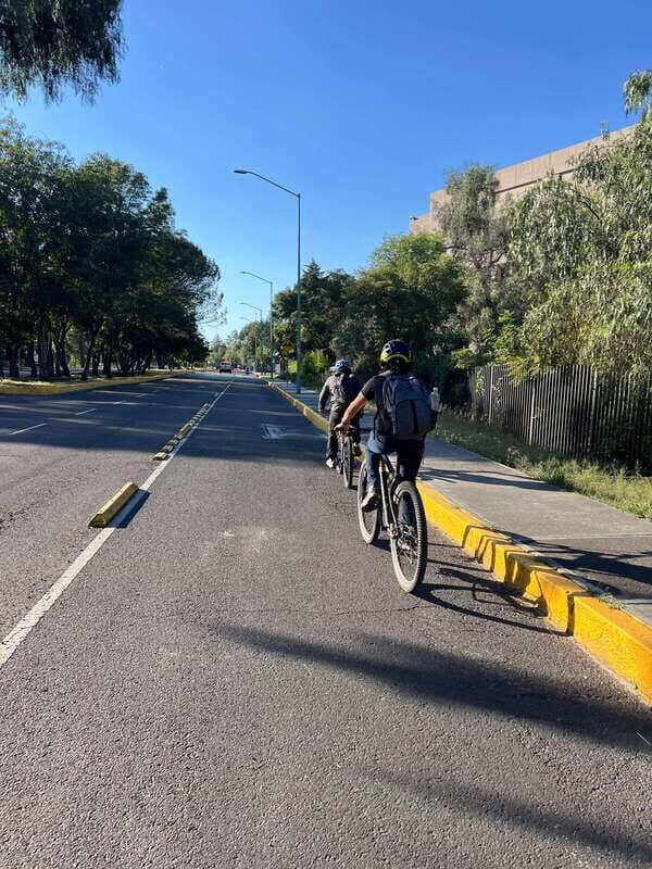 Mexico City: Bike, Cannabis, Nature, Food, Culture and History. - An In-Depth Look at the Tour
