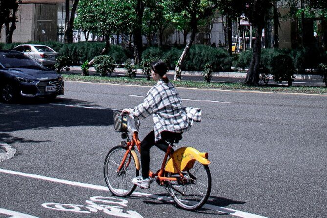 Mexico City Bike Tour: Pedal through Historic Landmarks - Who Should Take This Tour?