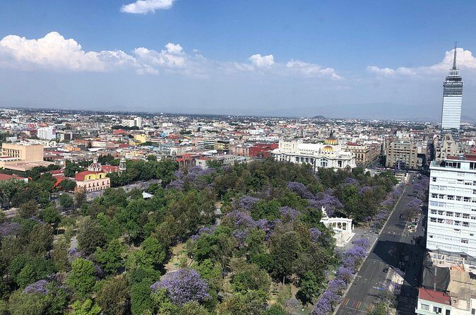 Mexico City Center Private Walking Tour - Who Will Love This Tour?
