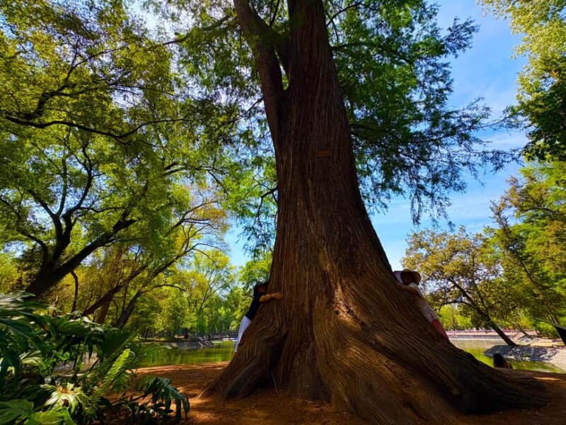Mexico City: Chapultepec Castle and Forest Guided Tour - Practical Tips for Travelers