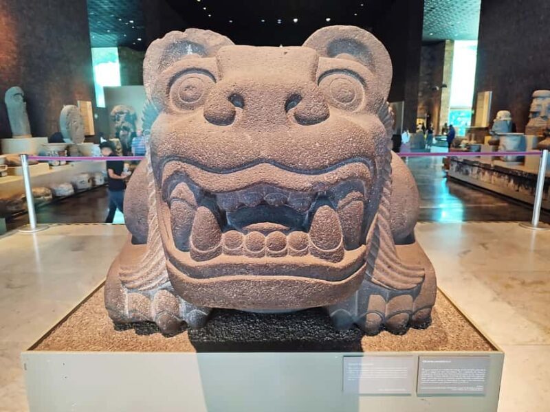 Mexico City: Chapultepec Park Bike Tour with Museums - Who Is This Tour Best For?