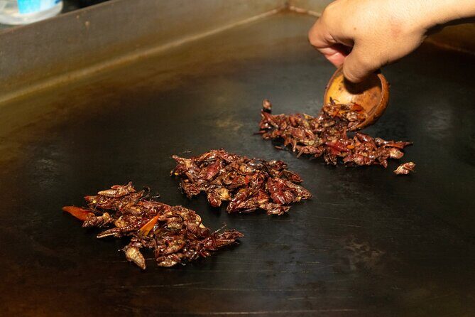 Mexico City Coyoacan Street Food, Mole & Mezcal Small Group Tour - Analyzing the Value