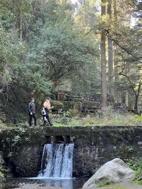 Mexico City: Desierto de los Leones Hike & Ex-Convent Tour - An In-Depth Look at the Tour Experience