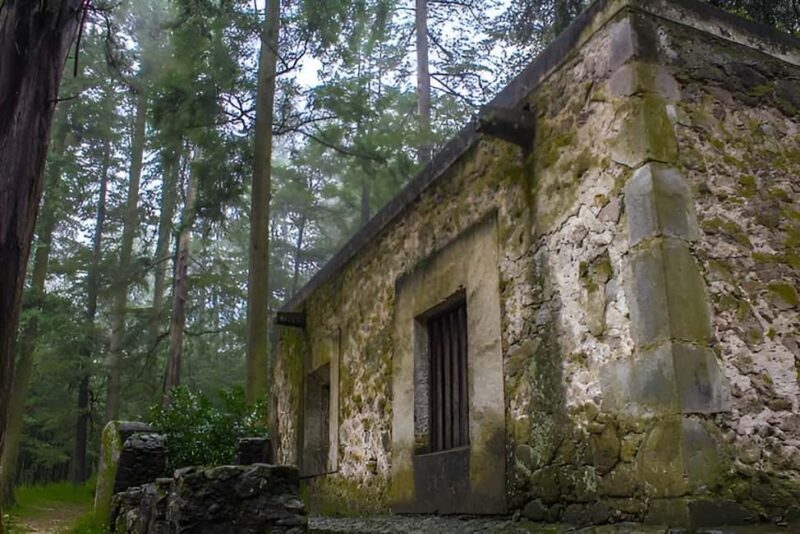 Mexico City: Desierto de los Leones Hike & Ex-Convent Tour - The Sum Up: Is This Tour Worth It?