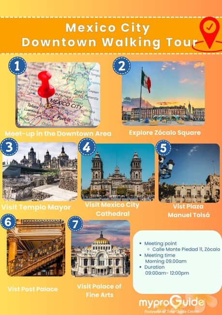 Mexico City: Downtown Walking Tour (CH, JP, ENG or SPA/ESP) - What Makes This Tour Stand Out