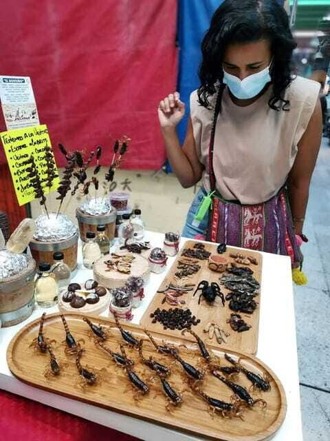 Mexico City: Eat & Explore Local Markets Tour - Practical Details and Tips