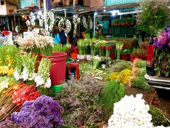 Mexico City: Explore Markets, Taste Street Food & Make Salsa! - Transport and Logistics