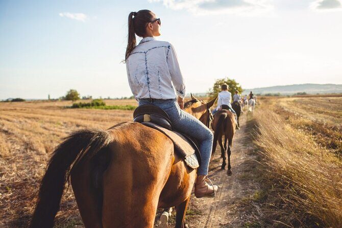 Mexico City Forest: ATV + Horses + Ziplines + Transportation - Final Thoughts