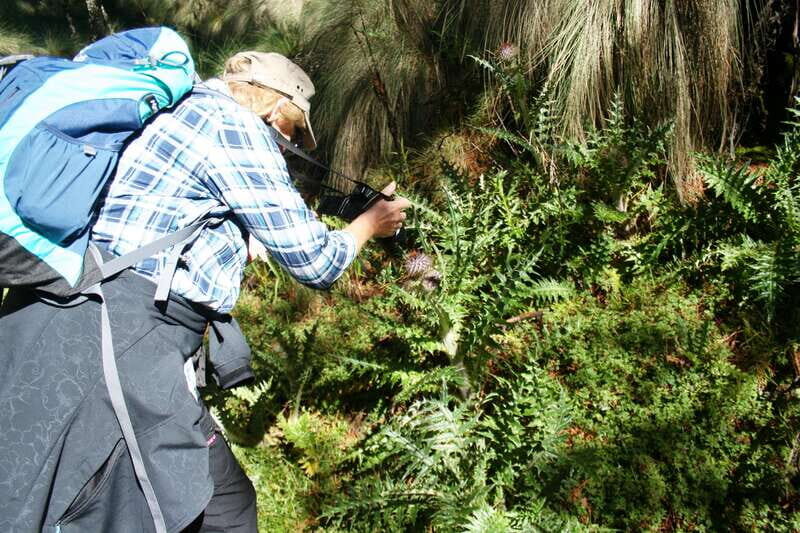 Mexico City: Guided Volcano Trek with Lunch - An Introduction to the Volcano Trek Experience