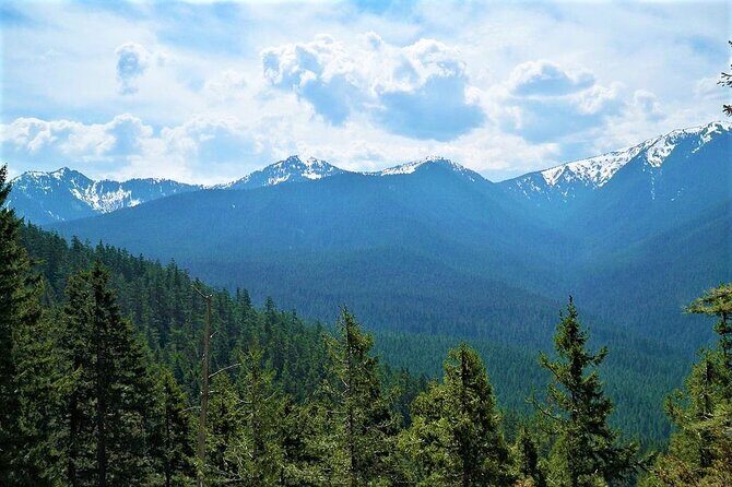 Mexico City Hike: Conquer the Ajusco National Park - What’s Included and What’s Not