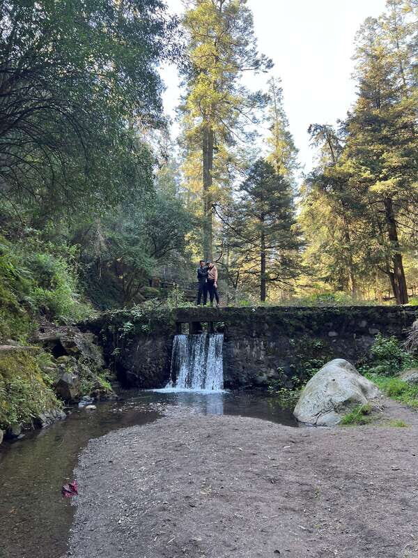 Mexico city: Hiking tour to Desierto de los leones - An In-Depth Look at the Experience