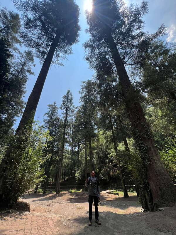 Mexico city: Hiking tour to Desierto de los leones - Practical Details & Recommendations