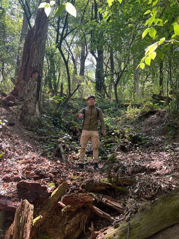 Mexico city: Hiking tour to Desierto de los leones - The Sum Up: Is This Tour for You?