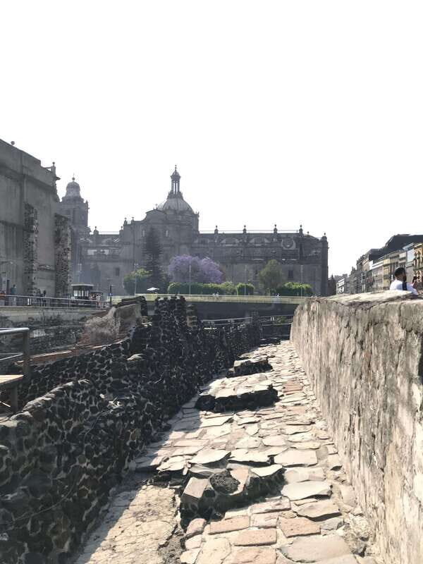 Mexico City: Historic Center VIP Tour with Templo Mayor - Who Should Consider This Tour?