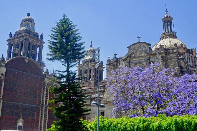 Mexico City History Tour with a Local Expert: 100% Personalized & Private - Key Points