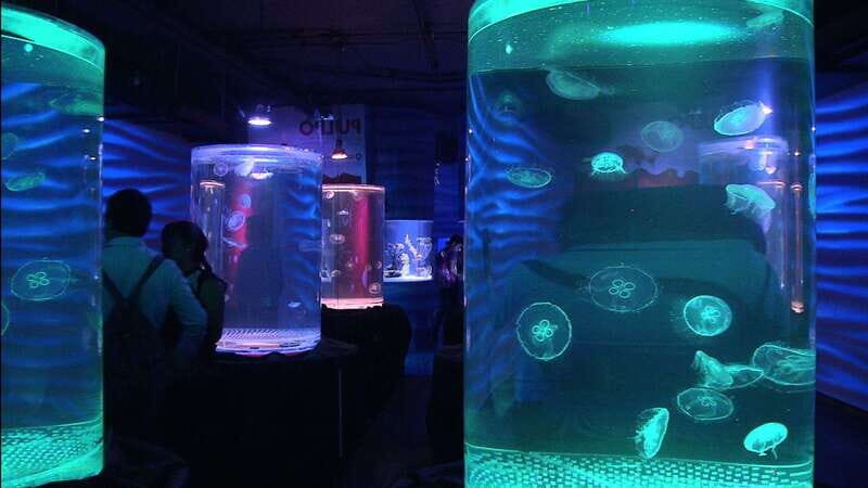 Mexico City: Inbursa Aquarium optional Round trip transfer - Mexico City: Inbursa Aquarium optional Round trip transfer – A Closer Look