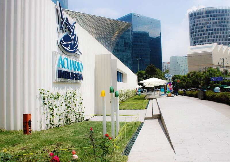 Mexico City: Inbursa Aquarium optional Round trip transfer - Key Points