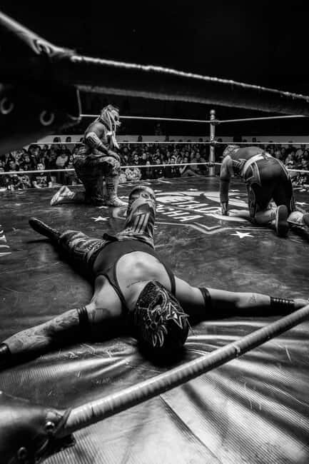 Mexico City: Mexican evening, lucha libre, and tequila - Key Points