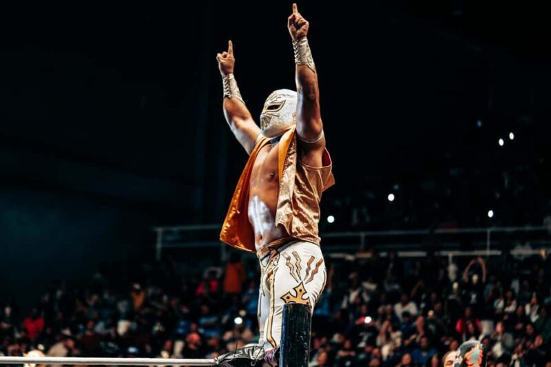Mexico City: Mexican evening, lucha libre, and tequila - Analyzing the value