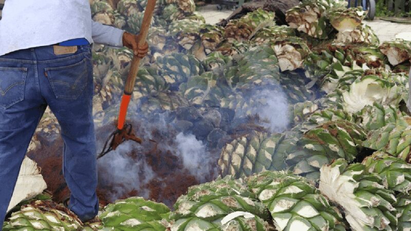 Mexico City: Mezcal Tasting and Market Tour with Lunch - FAQs