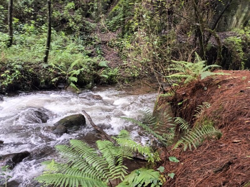 Mexico City: Morning Hiking at Mirador Coconetla - Why This Tour Is a Great Fit