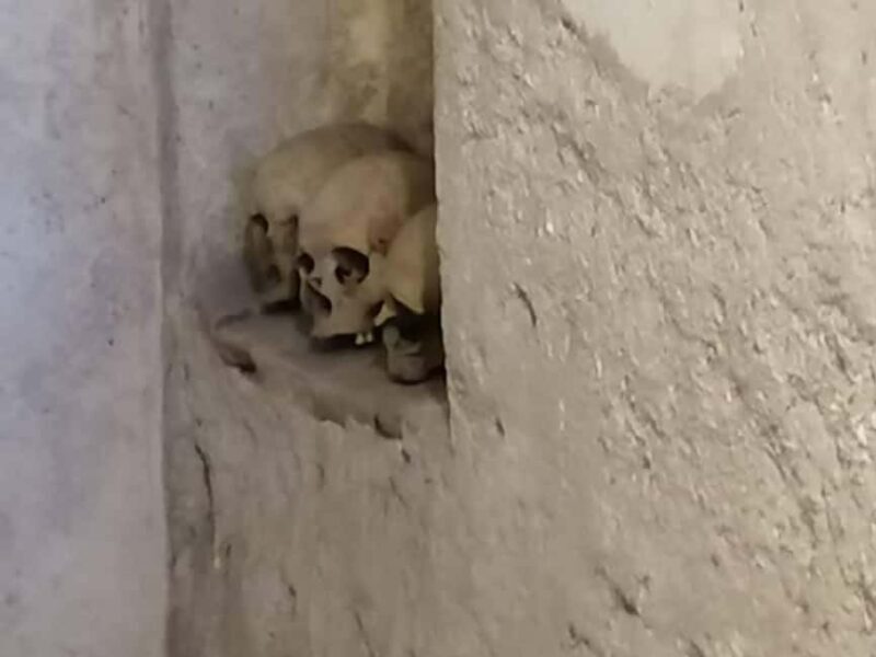 Mexico City: Museum of El Carmen Tour with Ticket - The Value of the Experience