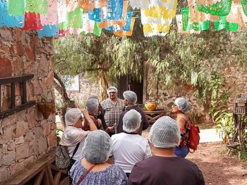 Mexico City: Private Cheese and Wine Tour to Queretaro - Key Points