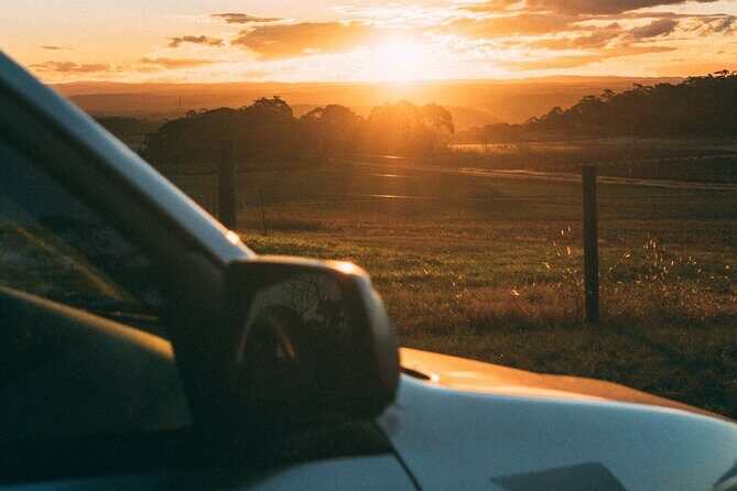 Mexico City to Guanajuato - Private transfer, 2 Sightseeing hours, local driver - A Comfortable and Customizable Journey