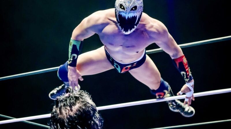 Mexico City: Turiluchas Amazing Wrestling Show - Practical Tips for Participants