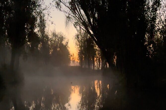 Mexico City: Xochimilco at sunrise + Breakfast and transportation - Practical Details
