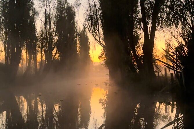 Mexico City: Xochimilco at sunrise + Breakfast and transportation - FAQs