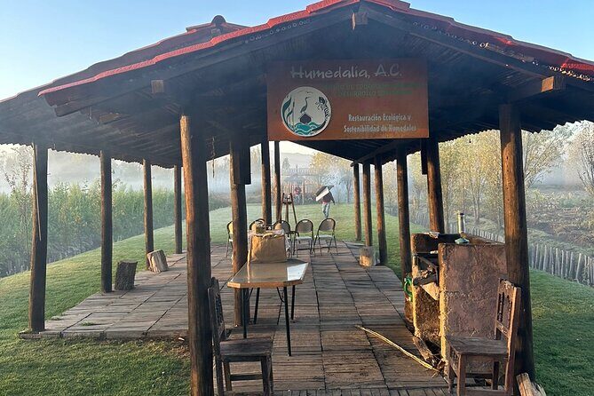 Mexico City: Xochimilco at sunrise + Breakfast and transportation - Final Thoughts