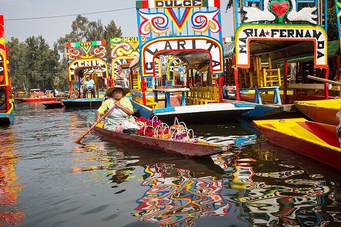 Mexico City: Xochimilco, Coyoacán and University City Tour - What’s Included and What’s Not
