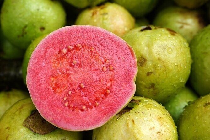 Mexico's Tropical Fruit Guided Tasting in Mexico City - FAQs