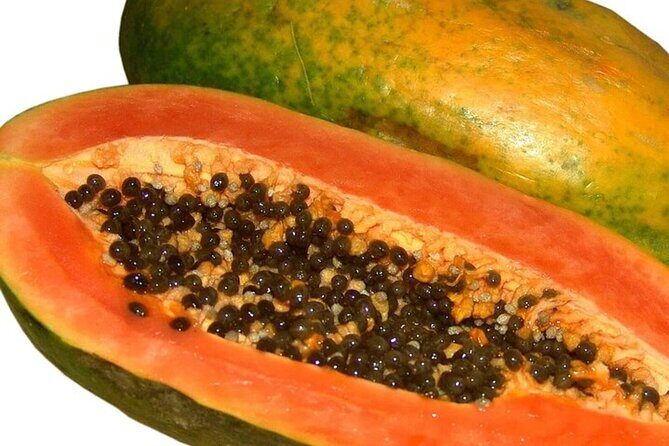 Mexico's Tropical Fruit Guided Tasting in Monterrey - Frequently Asked Questions