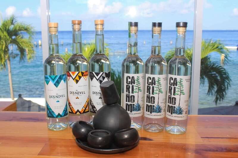 Mezcal and Tequila Tasting Room - Who Will Love It?