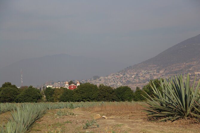 Mezcal Culture Cycling Tour in a Zapotec Village - Practical Aspects of the Tour