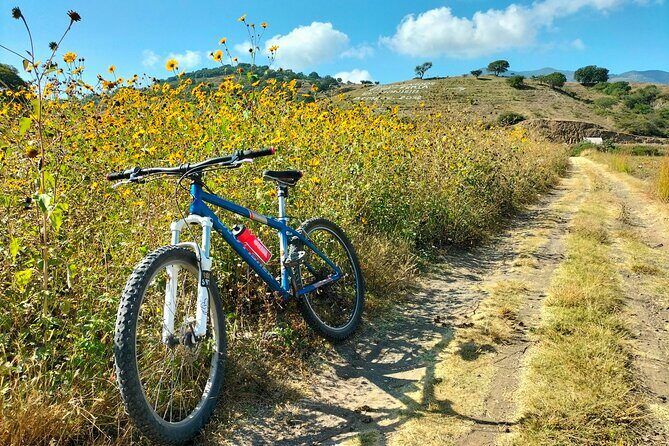 Mezcal Culture Cycling Tour in a Zapotec Village - Who Should Consider This Tour?