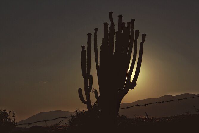 Mezcal Culture Cycling Tour in a Zapotec Village - The Sum Up