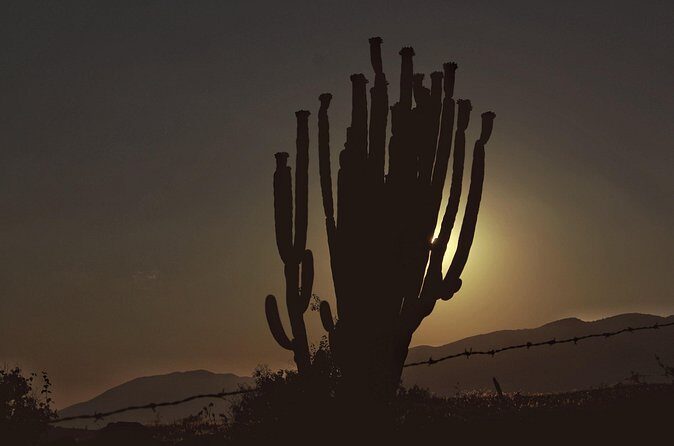 Mezcal Culture Cycling Tour in a Zapotec Village - Frequently Asked Questions