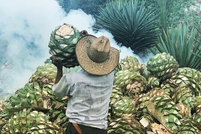 Mezcal Day Experience - Key Points