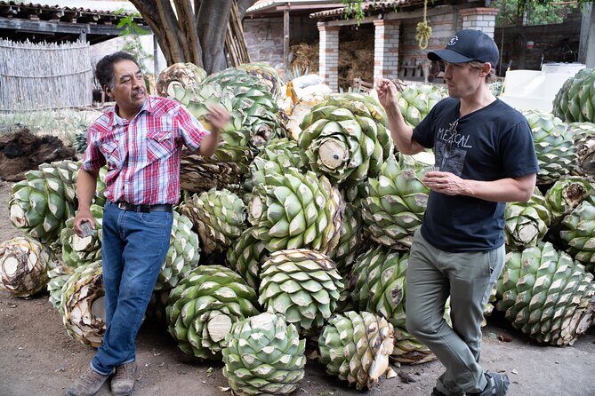 Mezcal Distillery Day Trip - An In-Depth Look at the Tour Experience