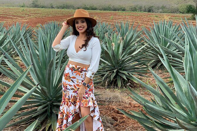 Mezcal Food Tasting Tour with Lunch Included - The Journey into Mazatlan’s Mezcal World